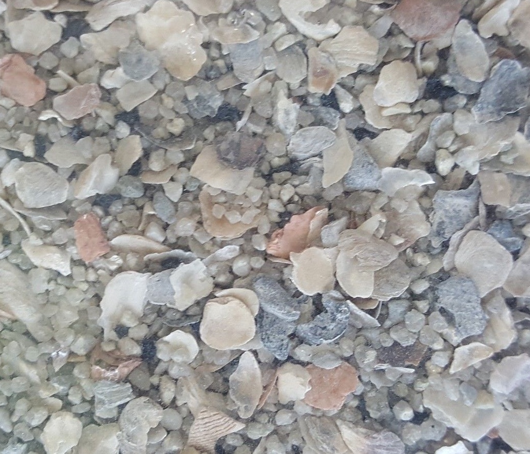 Hi Calcium Grit & Oyster Shells for Birds & Chickens 1 Pound *Buy 2 Get 1 FREE*