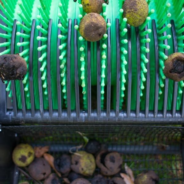 Bag-A-Nut Black Walnut Collectors - REMAN