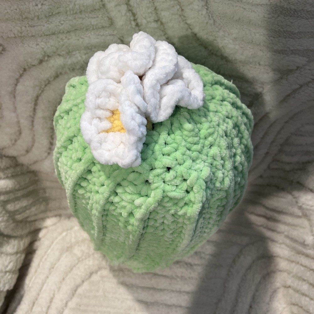 Homemade crochet Cactus