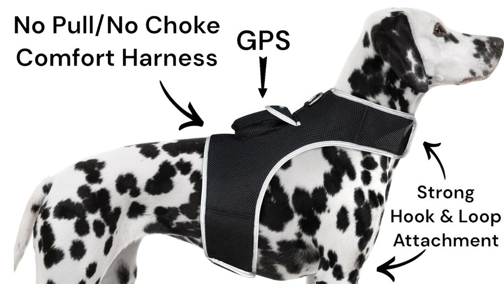 iTrackPET GPS Pet Tracker for Dogs - Waterproof, GPS Location & Activity Tracker