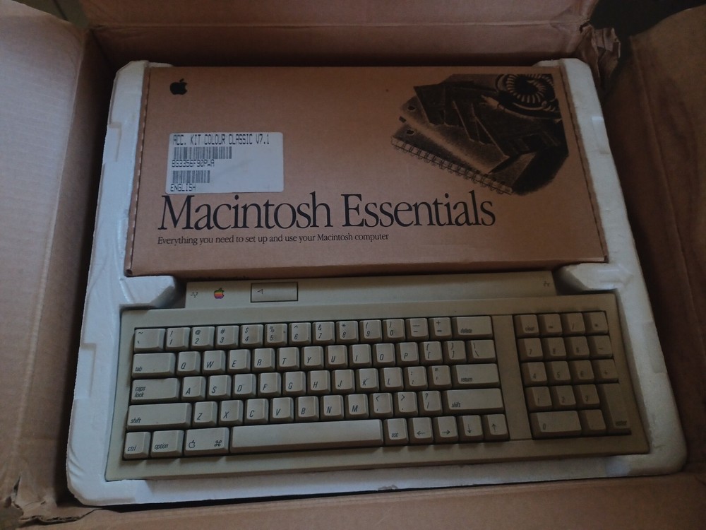 Apple Macintosh Color Classic - video issues