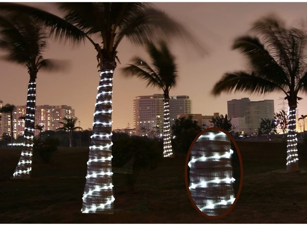 Solar Rope Lights 33FT 100LED Outdoor Solar String Lights IP65 Waterproof