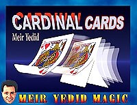 Cardinal Cards - Meir Yedid