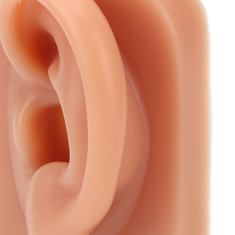 Professional Piercing Practice Ear Model For Earrings Display NEW↑
