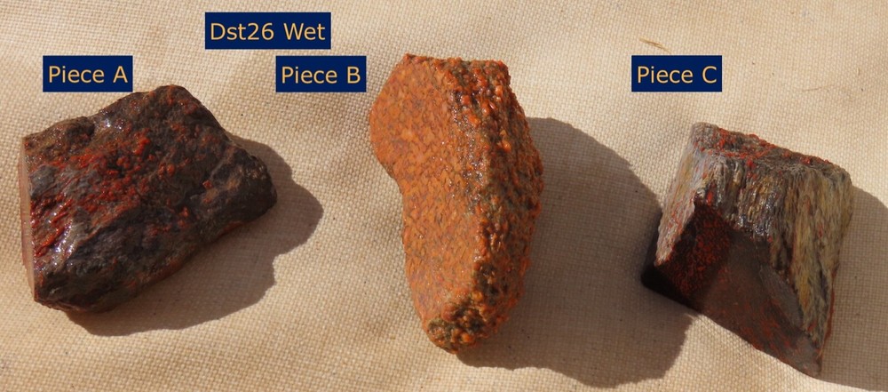 Fossil Dinosaur Gem Set- Dst26- Three pieces- Jurassic/Morrison Formation