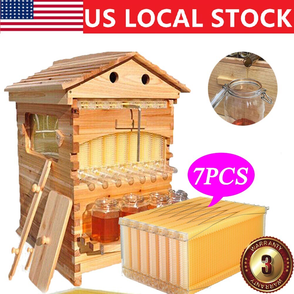 7Pcs Auto Seeping Honey Hive Beehive Frames + Beekeeping Wooden Cedarwood House