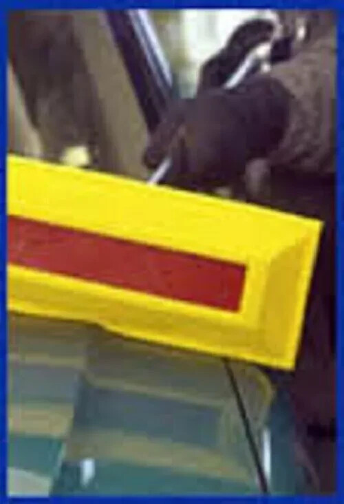 Angel-Guard SNO Brum SNO Pro Edge Replacement Head Only - Made in USA - 1 Pack