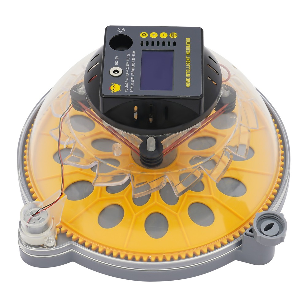 12 Eggs Incubator Egg Turning & Humidity Control Automatic For Hatching Eggs