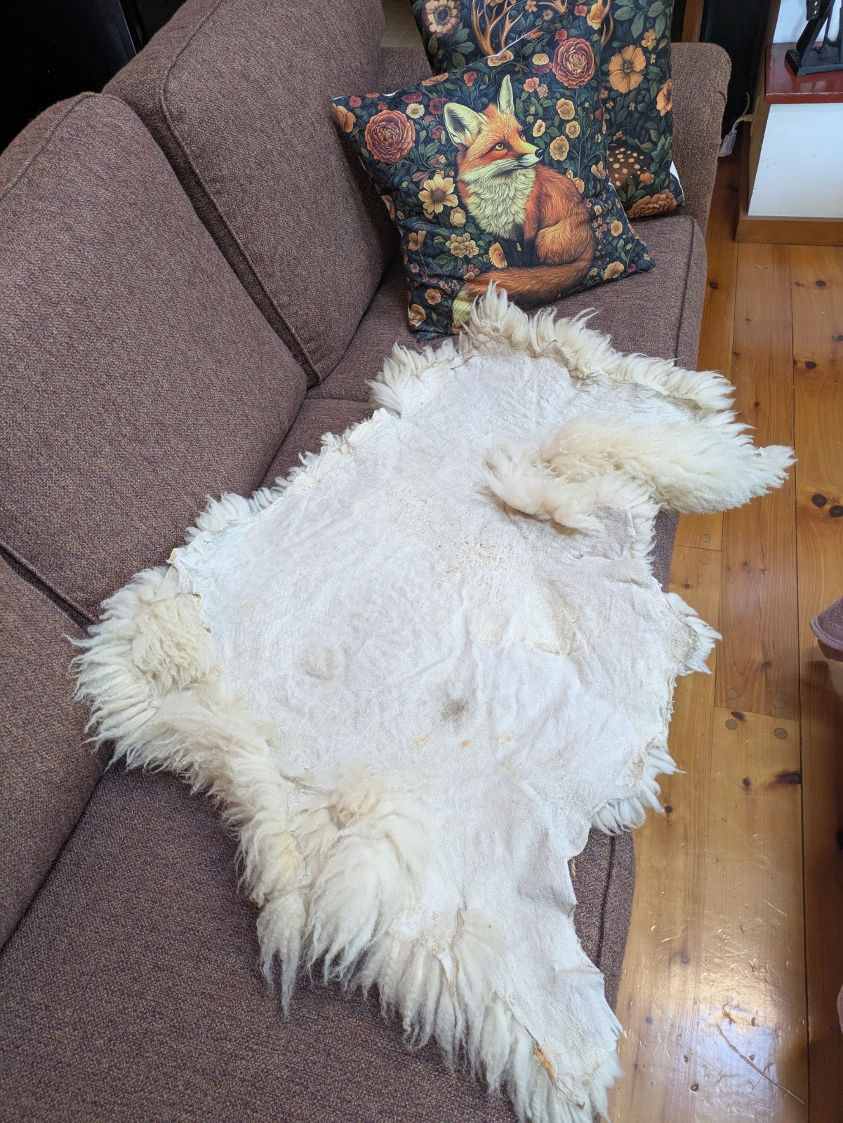 Champagne Color Curly Sheepskin Rug or Throw ,100% Natural Sheepskin