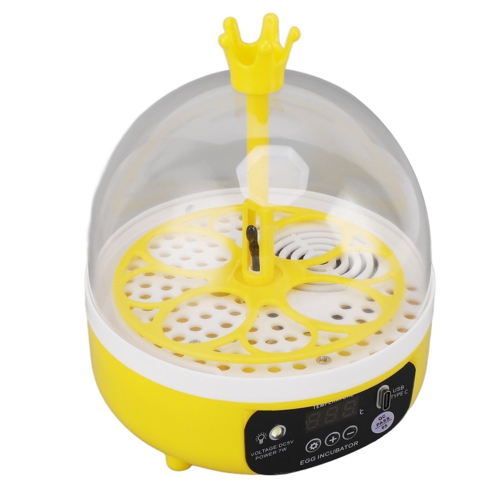 Mini Egg Incubator for Home Automatic Temperature Humidity Control 4 Eggs