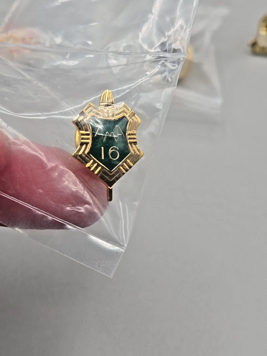 Collection of 17 AMA American Motorcycle Association Membership Pins. New