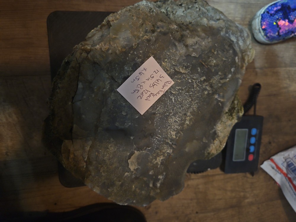 Petrified Palm Tree Root Specimen (36lbs 12oz)
