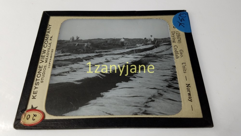 QSX Glass Magic Lantern Slide Photo NORWAY DRYING CODFISH