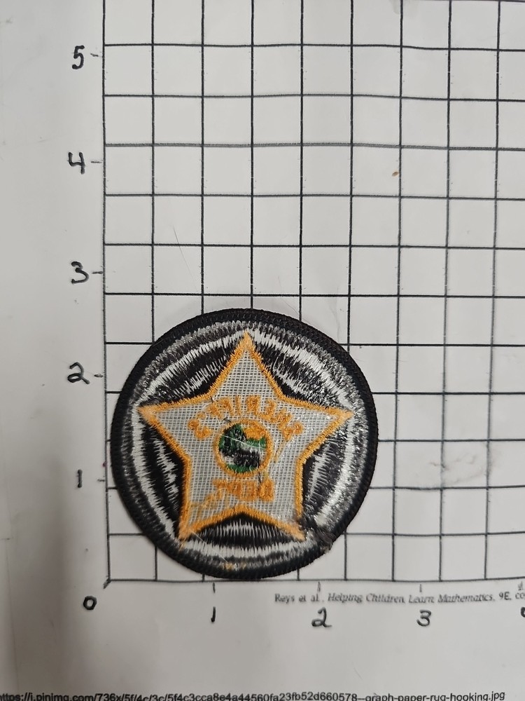 #506 Floyd Co Georgia Sheriff's Patch
