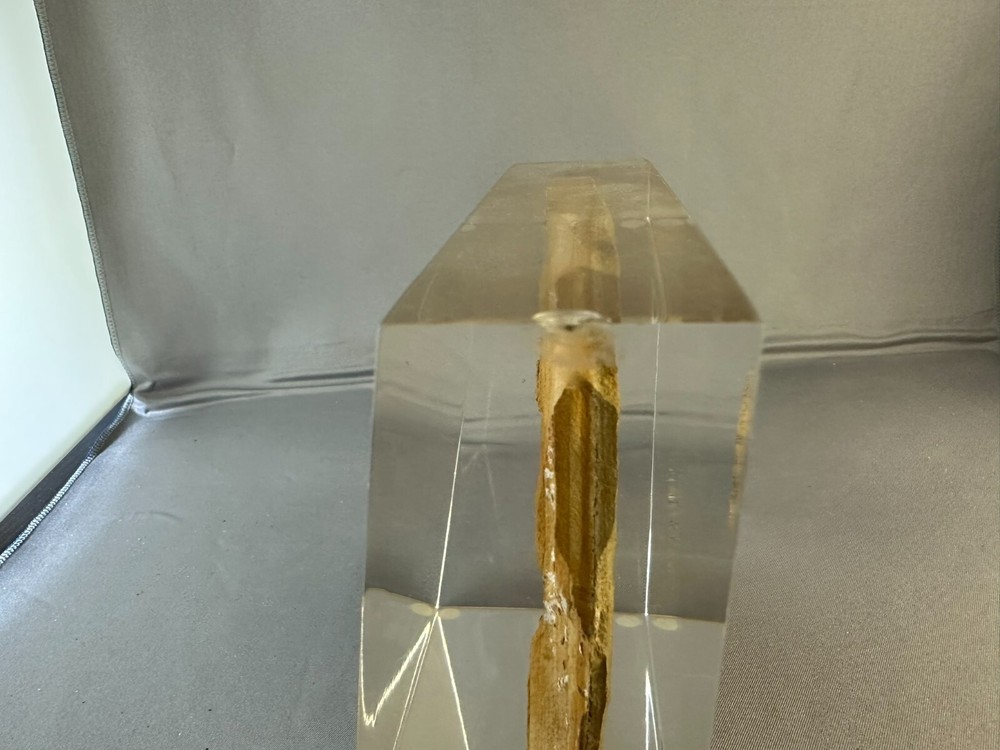 🦴 Fossilized Fish in Stone Matrix 🐟 | Authentic Prehistoric Specimen | Display