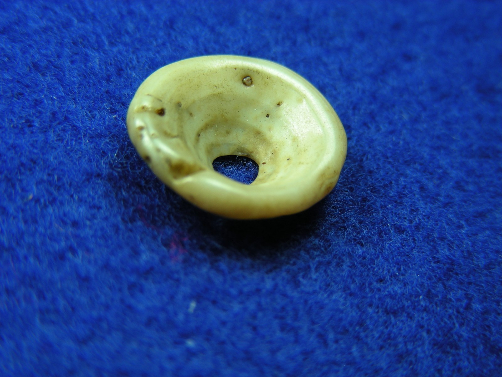 EXCELLENT DRILLED SHELL BEAD 11/16" TENNESSEE Authentic Indian Artifacts