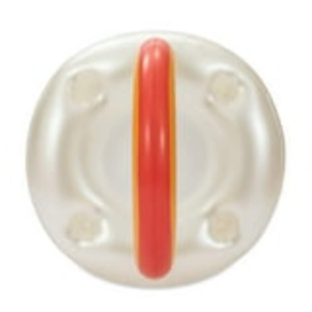 Inflatable Rainbow Beverage Holder Pool Float, Adults