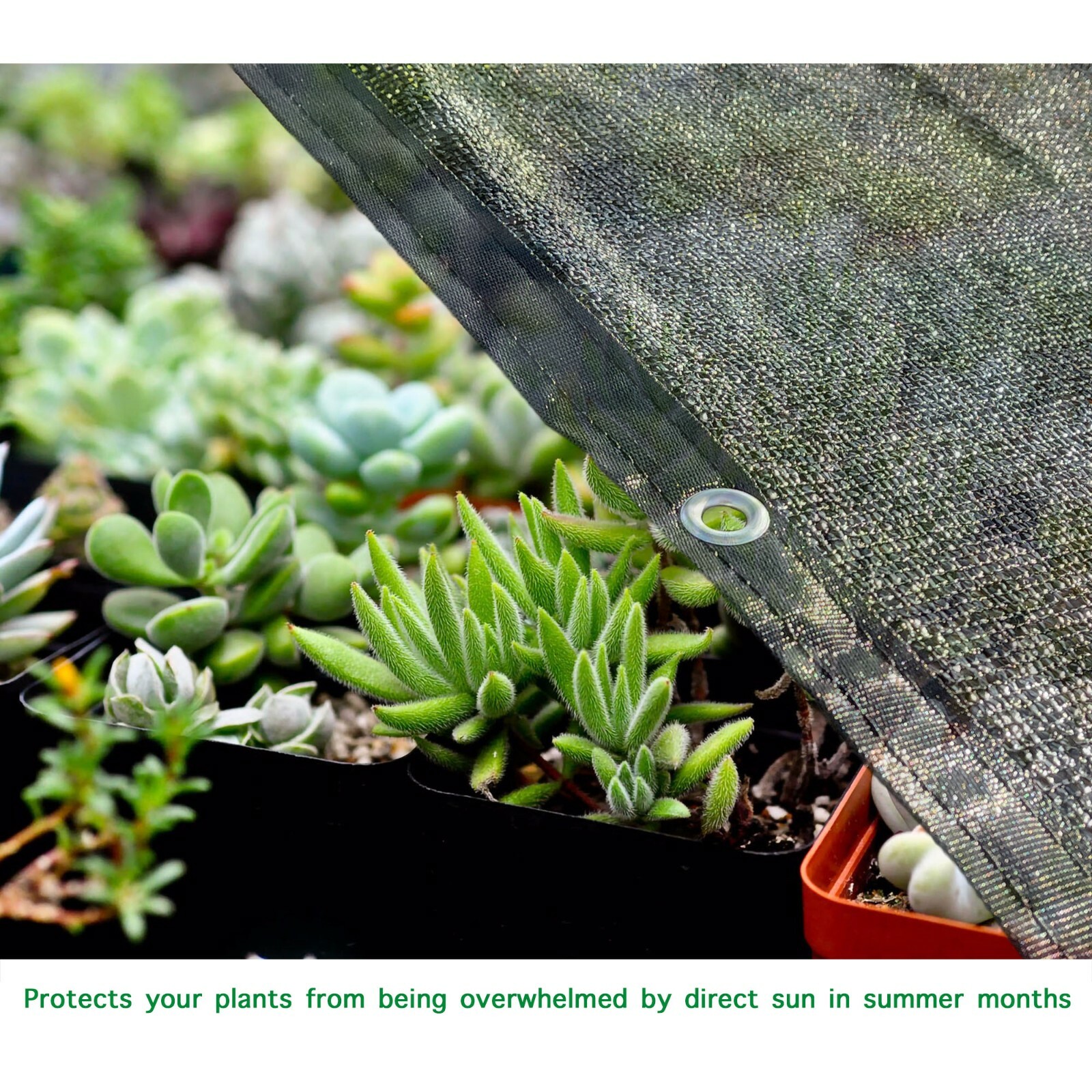 40% UV Block Shade Cloth w/ Grommet Sun Blackout for Plant Cover Greenhouse Barn