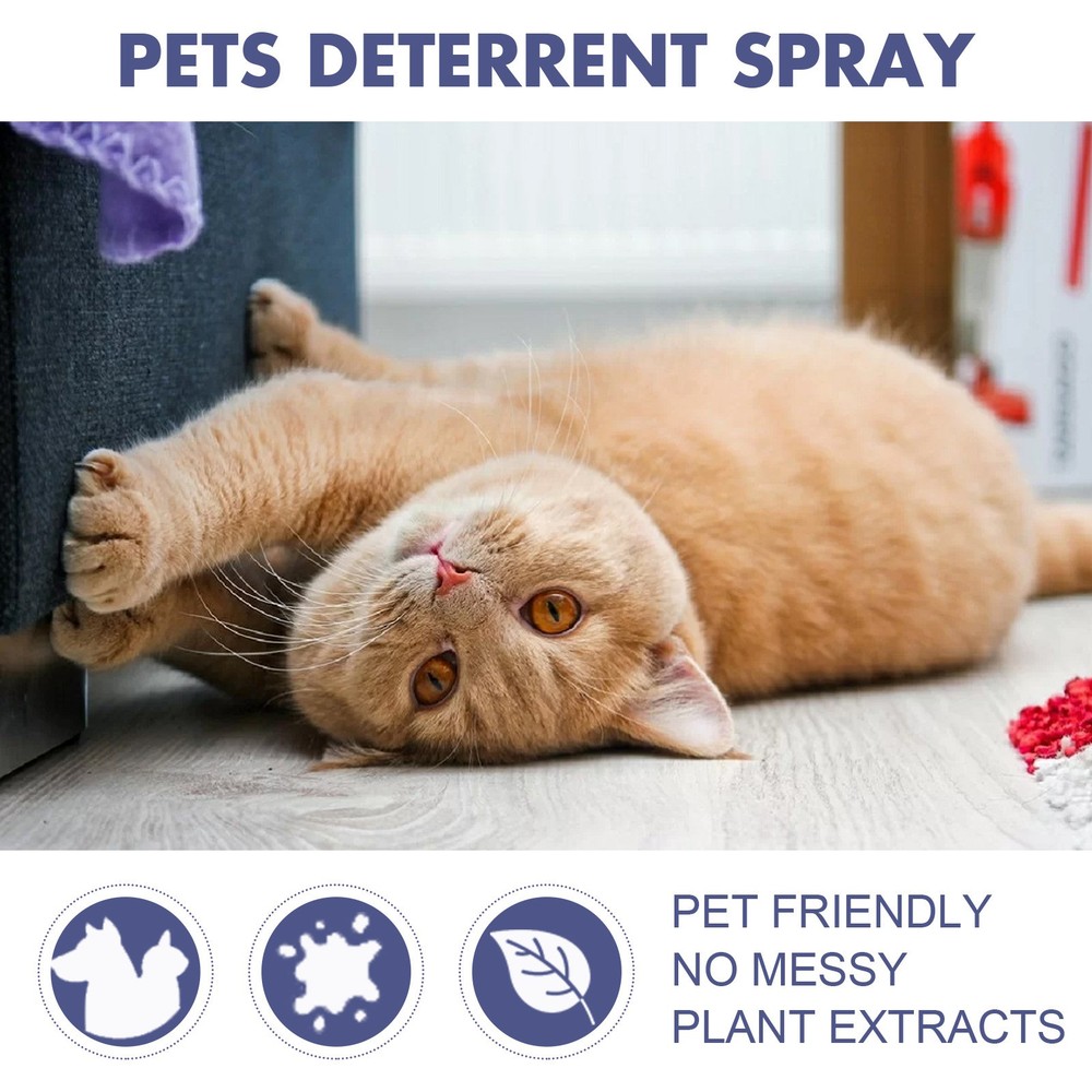 Cat anti scratching spray sofa protector dog training exclusion zone 🐕 🛋️