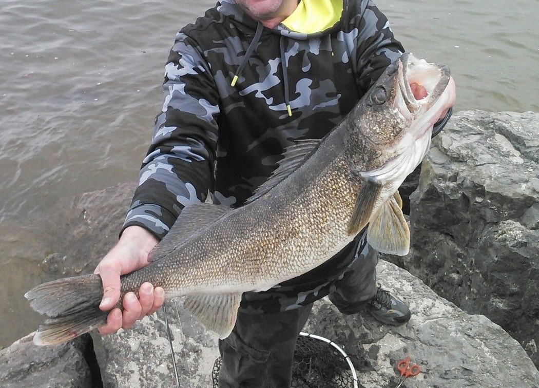 3-Way 360° T-Turn Swivel Cross-line 3Way Rolling Barrel Swivels 40#Test FreeShip