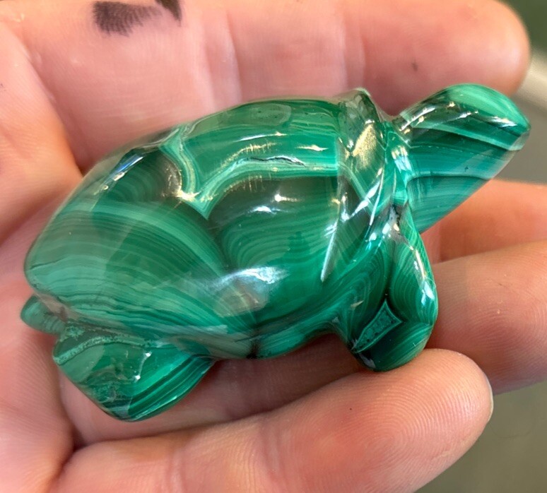 2” Malachite Turtle