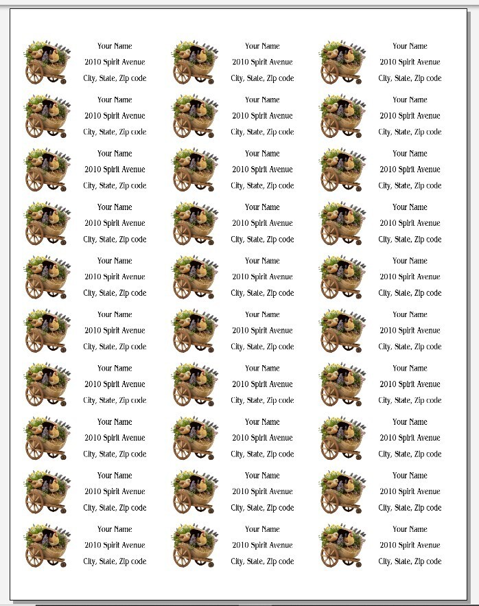 150 Chickens Flowers in Wheelbarrow Mailing Return Address Labels Personalized