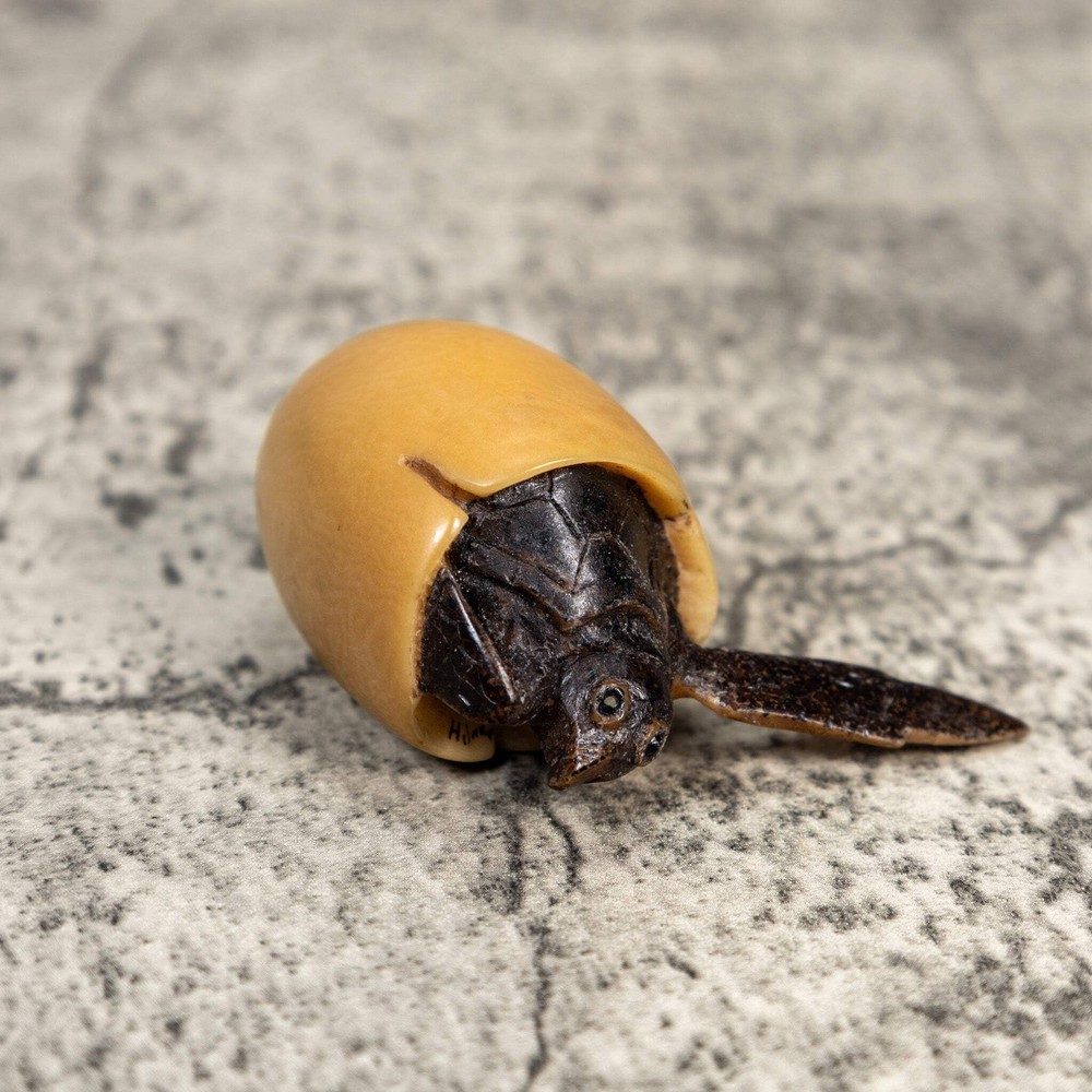 Sea Turtle Emerging From Egg Tagua Carving