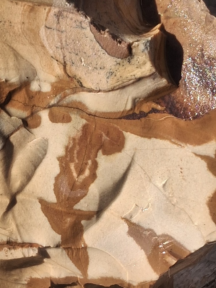 Picture Stone Lapidary Rough Specimen Possible Lapidary Potential Or Display