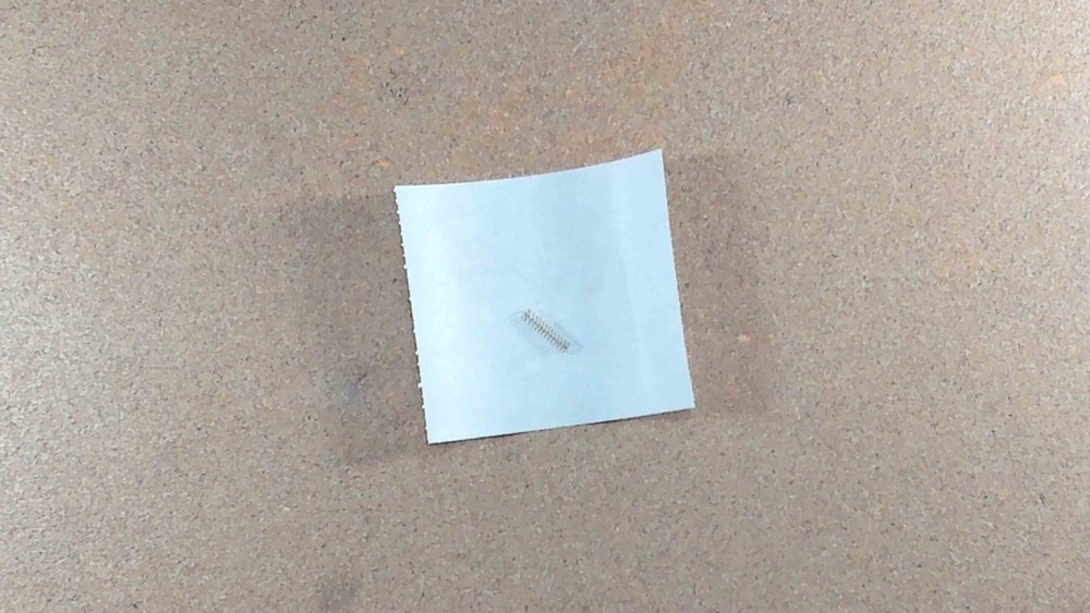 24B-323 Tillotson Spring