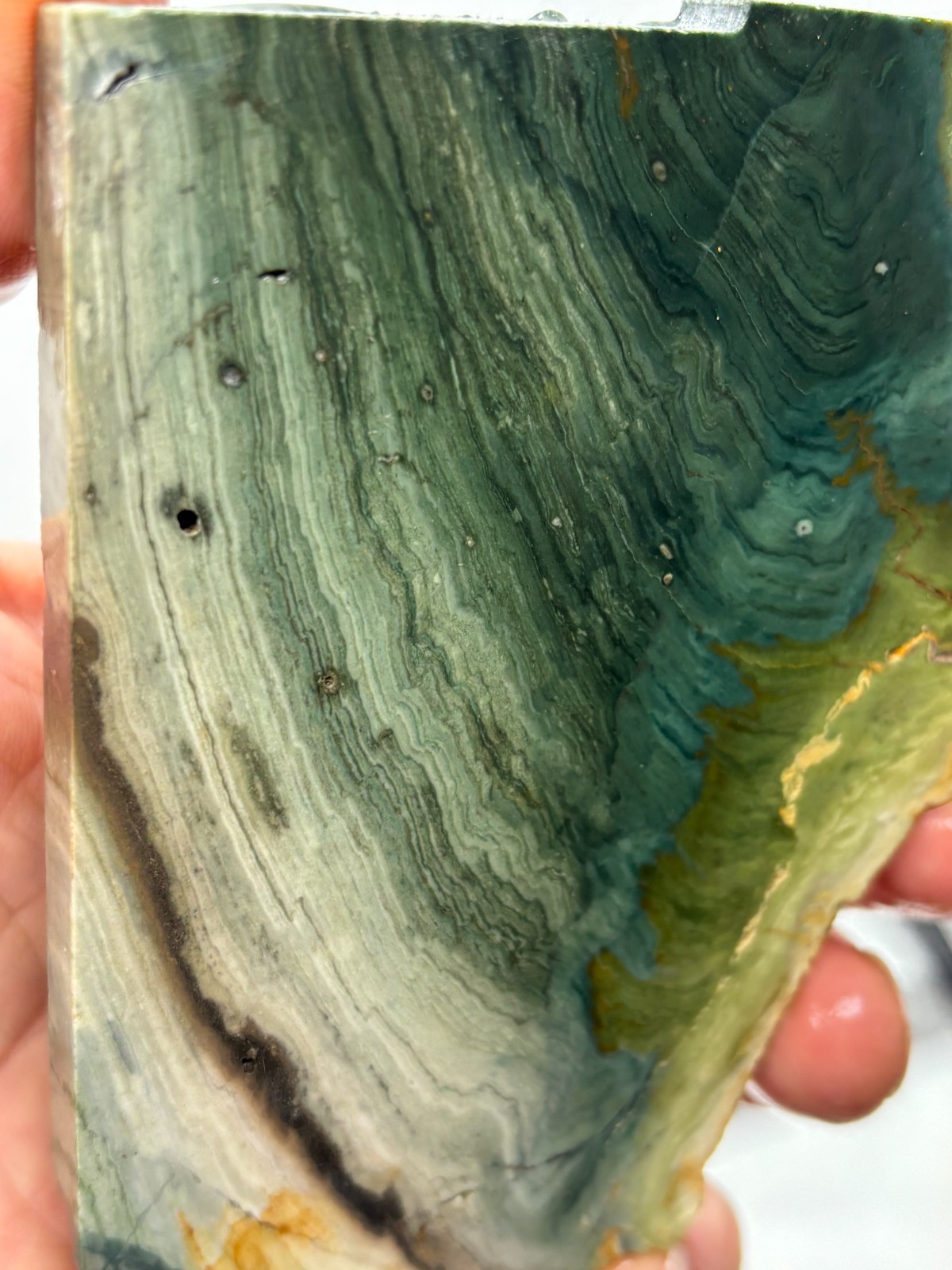 Gary Green Caldera Freedom Jasper Slab Cabbing Lapidary Combo Ship Avail