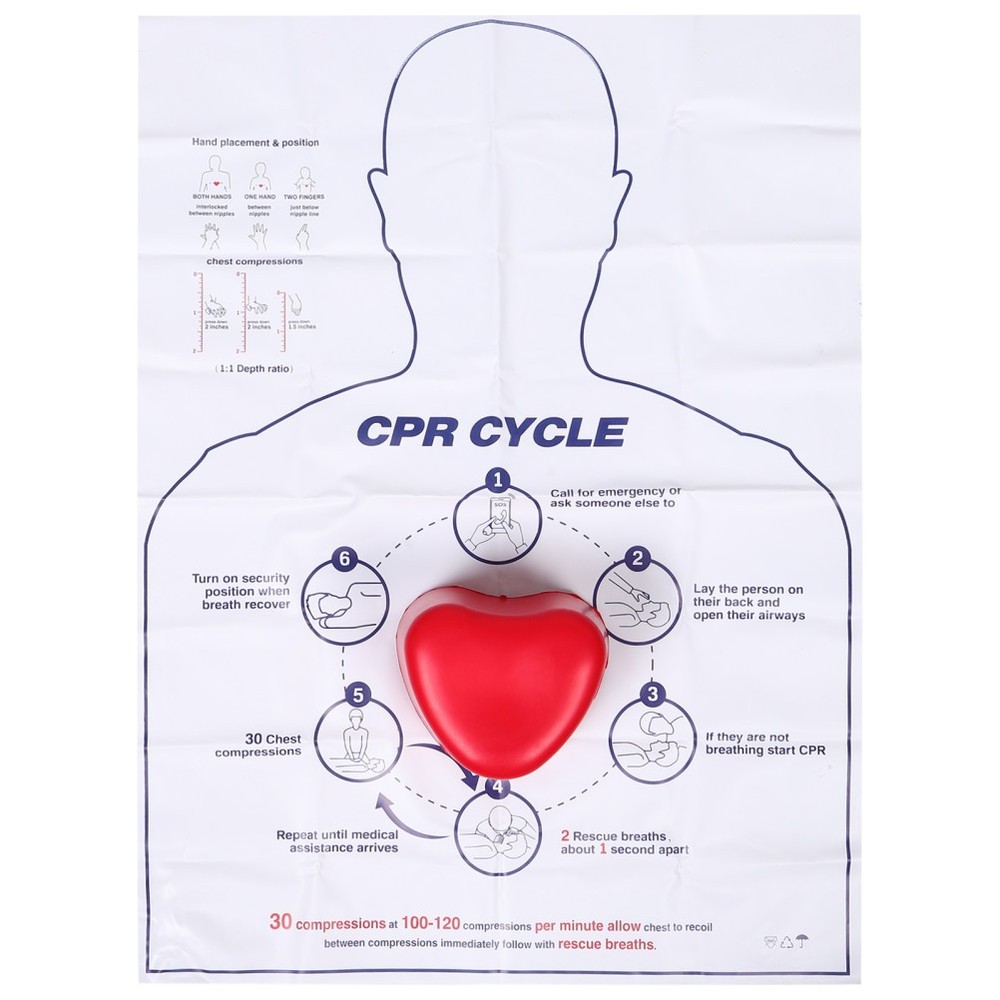 Cardiac Training Model Cpr Compression Practice Tool for Students