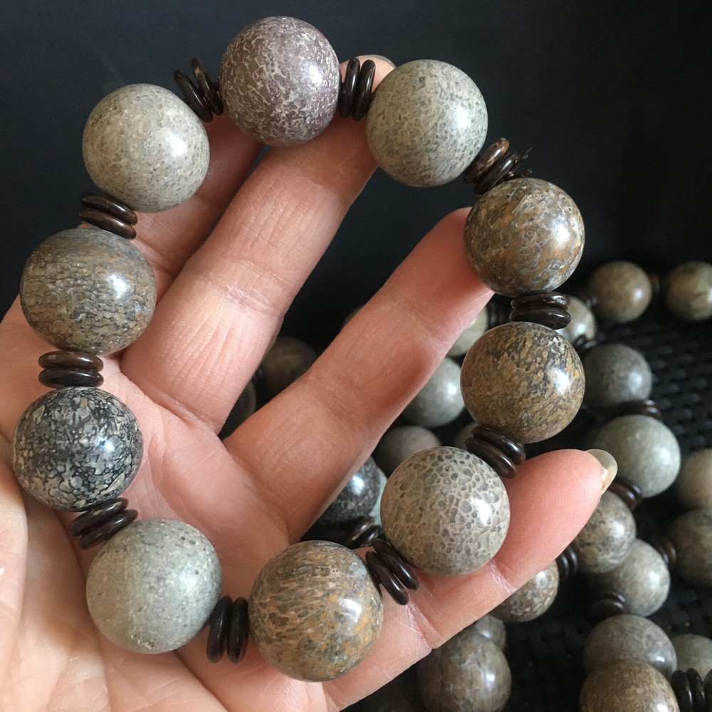 1pc  Natural polished dinosaur bone bracelets