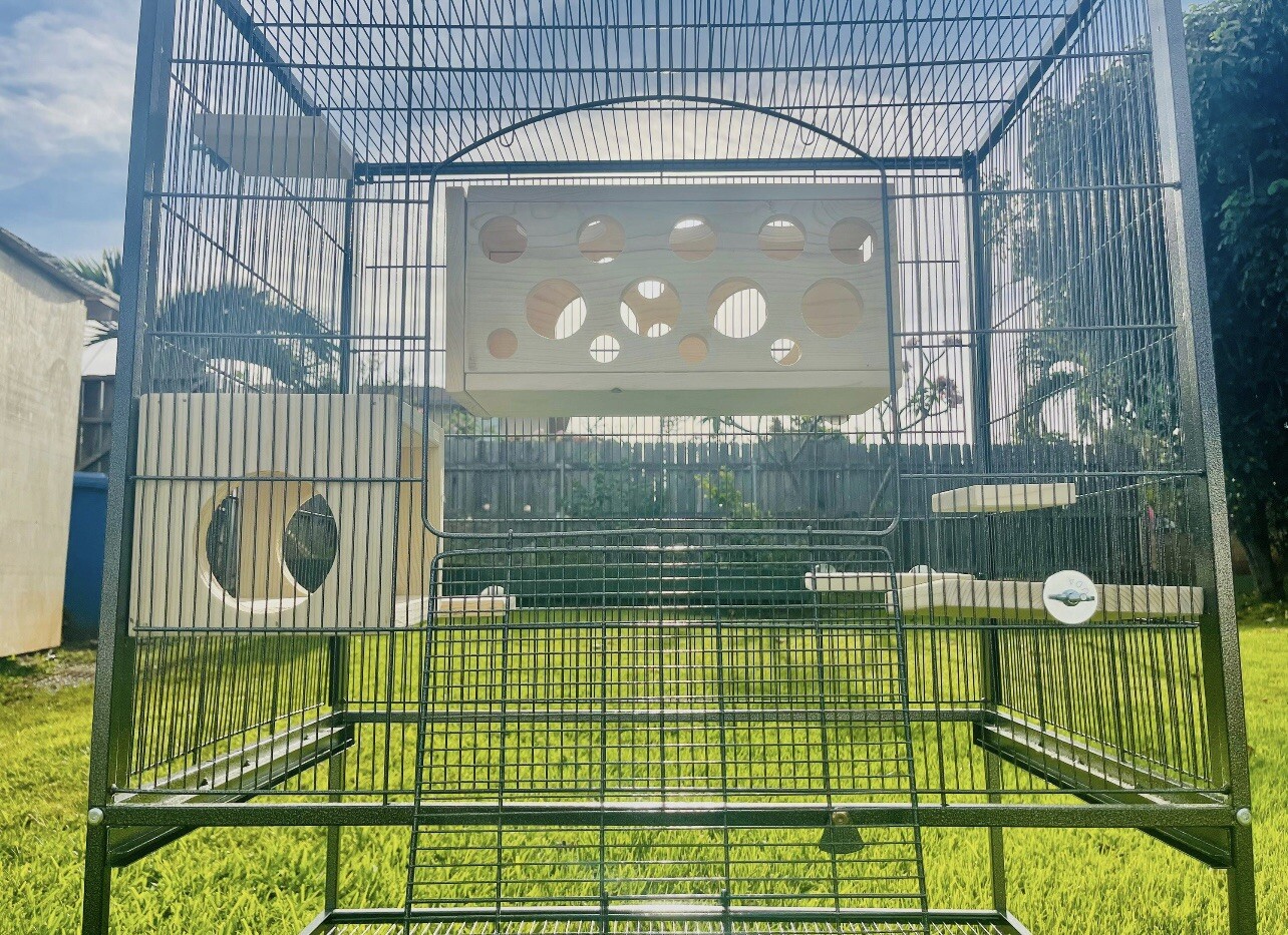 7 Set with Leap Through and Peekaboo Hiedouts & Pine Ledges for Chinchillas Rats