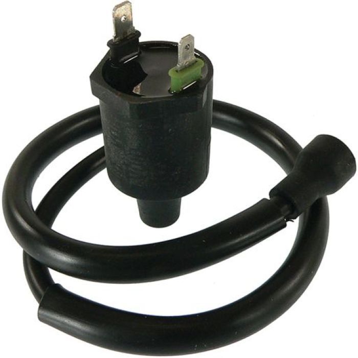 Wildboar 160-01022 | External Ignition Coil