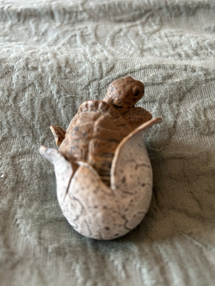 Baby Tortoise Emerging From Broken Shell Unusual Rubber Material 2”x1”