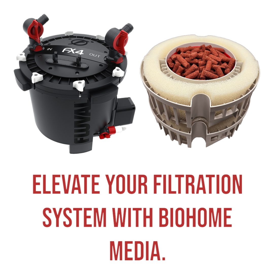 Biohome Ultimate Filter Media Aquarium Pond (FREE bacteria balls)