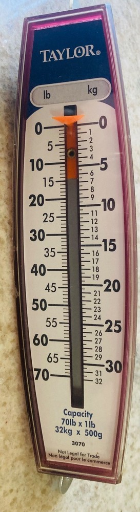 Taylor Precision 30704104 70 lb Vertical Hanging Scale