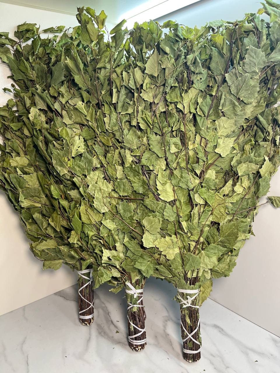 24 Birch brooms NEW SEASON 2025 sauna banya venik Eiche whisks eco Ukrainian