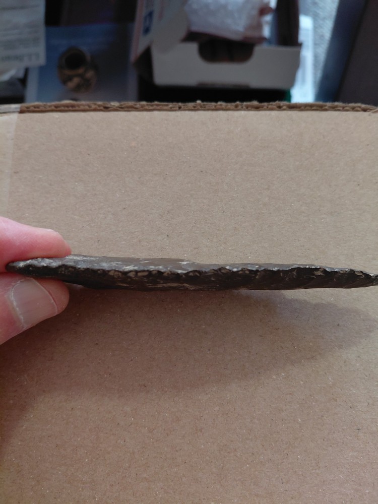 Nice Large Paleo Plainview Point Arrowhead (Modern)