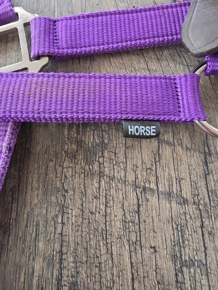 Horse Halter