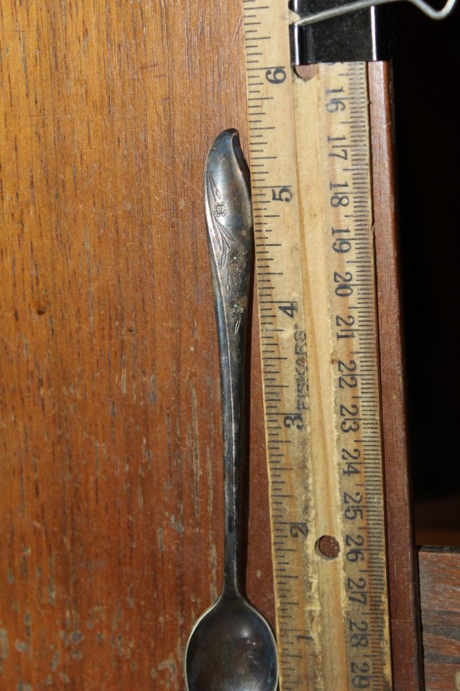 Vintage Tea Spoon Rogers Silver Plate Springtime Pattern