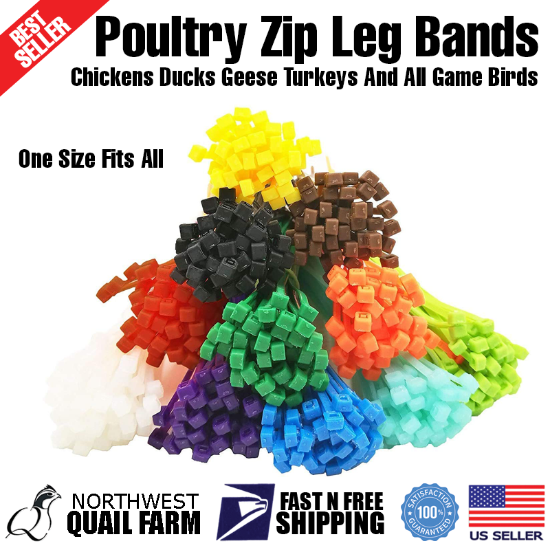 Zip Leg Bands Multi Colors for Poultry Chick Chickens Ducks Geese Turkeys 100pcs