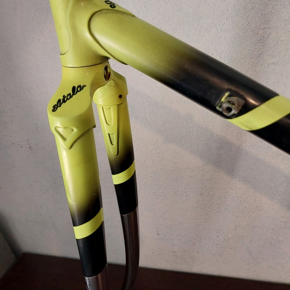 Atala Frame Professional Racing Team Frameset Campagnolo Atala