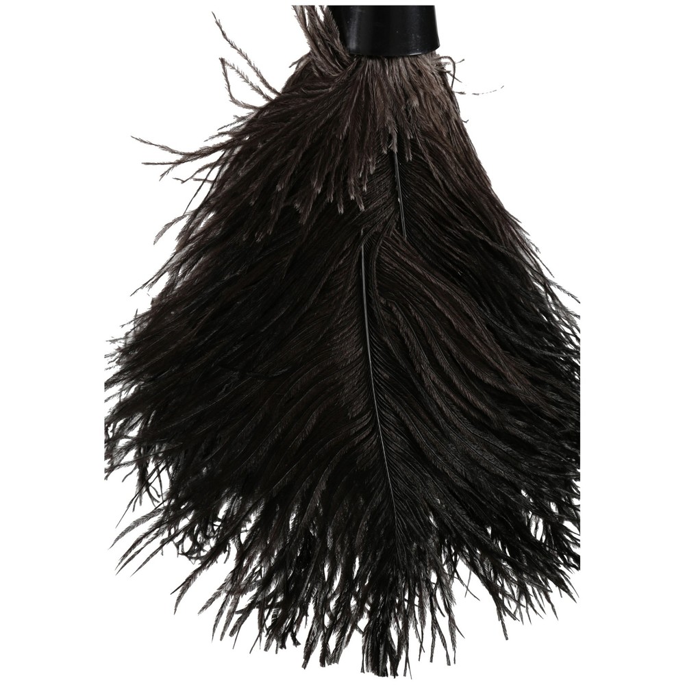 EverClean Long Handle Ostrich Feather Duster for Home Cleaning Dusting Cobweb