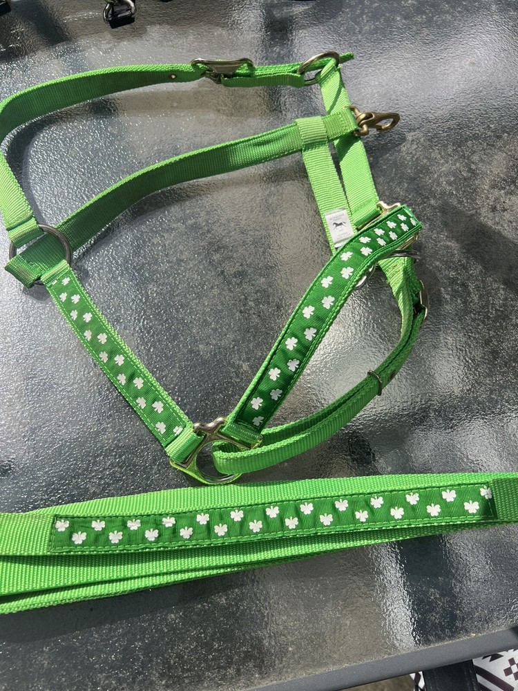 🐴☘️Horse Halter Nylon With Matching Lead Unique