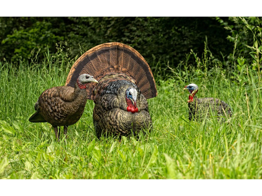 Avian X LCD Strutter Turkey Decoy
