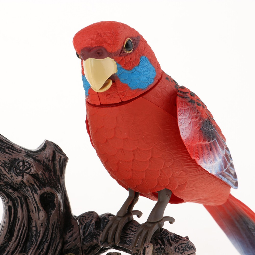 Recording Session Learning Parrot Voice Controlled Children's Induction Toy