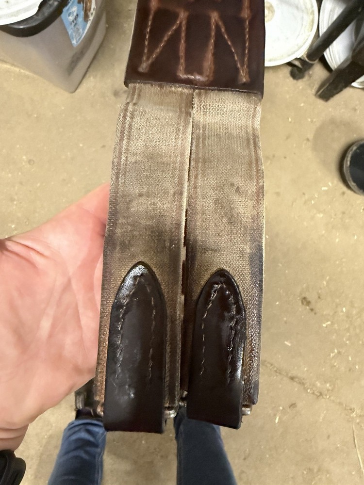 Edgewood Hunter Jumper Girth Size 52