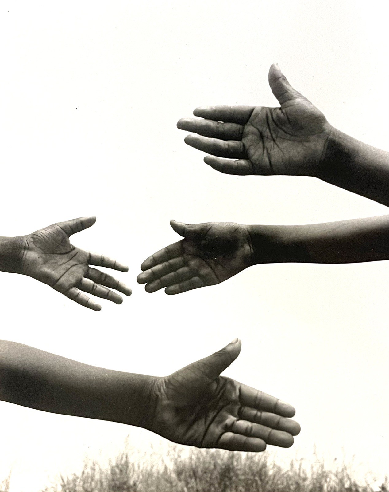 Keith Carter 1991 Silver Gelatin 8 X 10”Photograph titled Hands