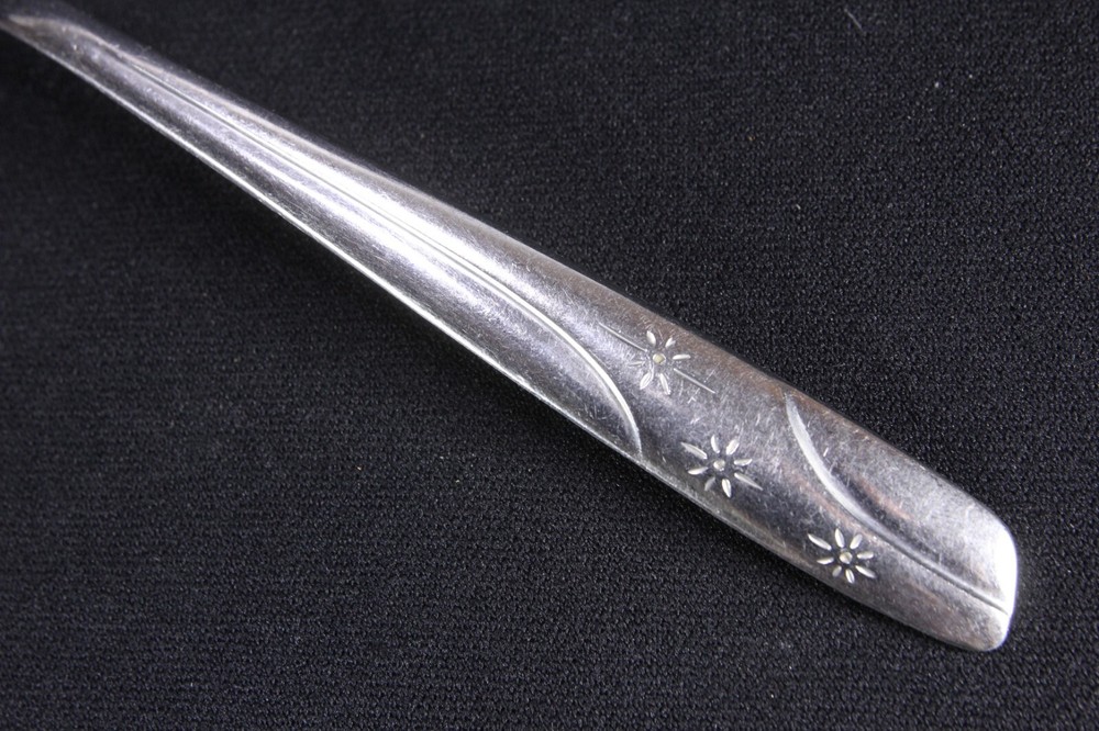 Starlet Pattern Flatware Thor Oneida 2 Serving & 7 Place Spoons Stainless